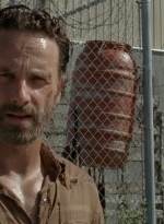 twd403-2231.jpg