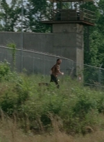 twd403-2237.jpg