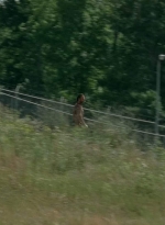 twd403-2239.jpg