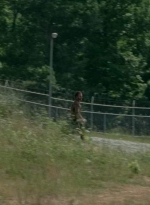 twd403-2240.jpg