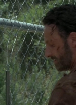 twd403-2312.jpg