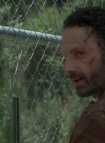 twd403-2313.jpg