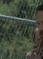 twd403-2315.jpg