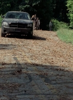 twd403-2403.jpg