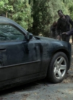 twd403-2421.jpg