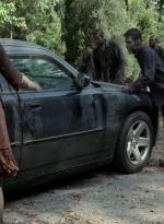 twd403-2422.jpg