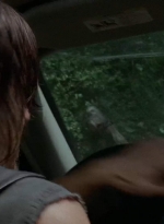 twd403-2452.jpg