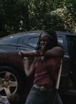 twd403-2466.jpg