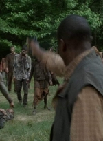 twd403-2494.jpg