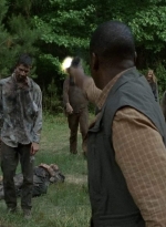 twd403-2506.jpg