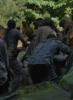 twd403-2524.jpg