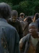 twd403-2535.jpg