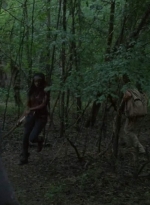 twd403-2554.jpg