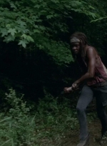 twd403-2575.jpg