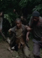 twd403-2624.jpg