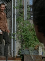 twd403-2839.jpg