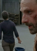 twd403-2898.jpg