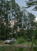 thewalkingdead0404-0280.jpg