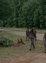 thewalkingdead0404-0446.jpg