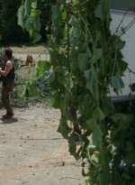 thewalkingdead0404-0483.jpg