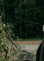 thewalkingdead0404-0534.jpg