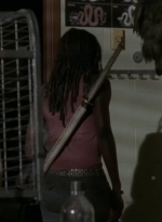 thewalkingdead0404-1382.jpg