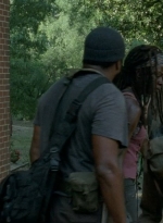 thewalkingdead0404-1842.jpg