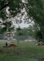 thewalkingdead0406-1522.jpg