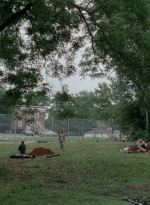 thewalkingdead0406-1523.jpg