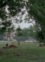 thewalkingdead0406-1524.jpg