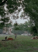 thewalkingdead0406-1525.jpg