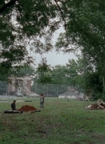 thewalkingdead0406-1526.jpg