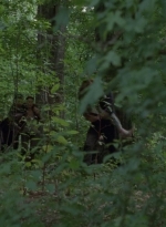 thewalkingdead0406-1957.jpg