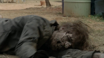 thewalkingdead0407-1930.jpg