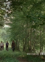 thewalkingdead0407-0293.jpg