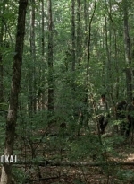 thewalkingdead0407-0320.jpg