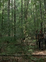 thewalkingdead0407-0324.jpg