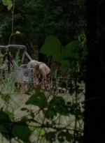 thewalkingdead0407-2084.jpg