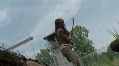 thewalkingdead0408-1929.jpg