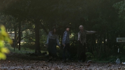 twd0409-1279.jpg