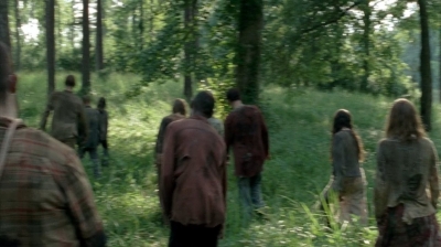 twd0409-2104.jpg