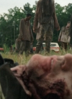 twd0409-0039.jpg