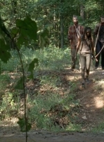 twd0409-0476.jpg