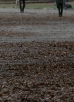 twd0409-0520.jpg