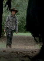 twd0409-1250.jpg