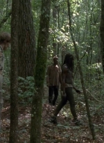 twd0409-1465.jpg