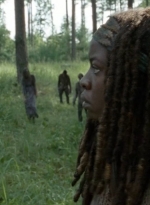 twd0409-2095.jpg