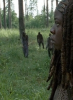 twd0409-2096.jpg