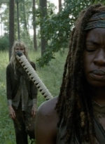 twd0409-2111.jpg