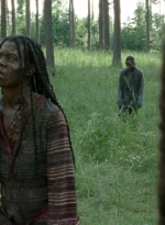 twd0409-2129.jpg